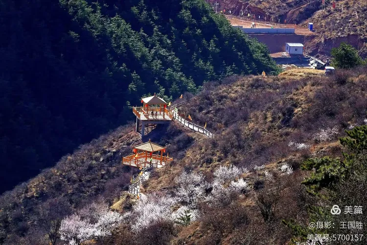 琴山赏春——三月踏青何处佳?琴山顶上看桃花。